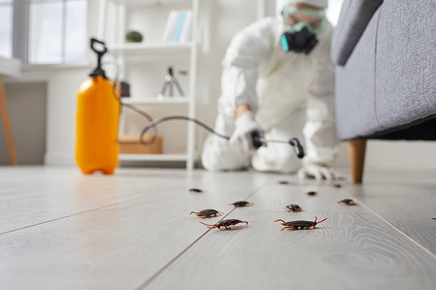 Commercial Kitchen Cockroach Control in The College of New Jersey